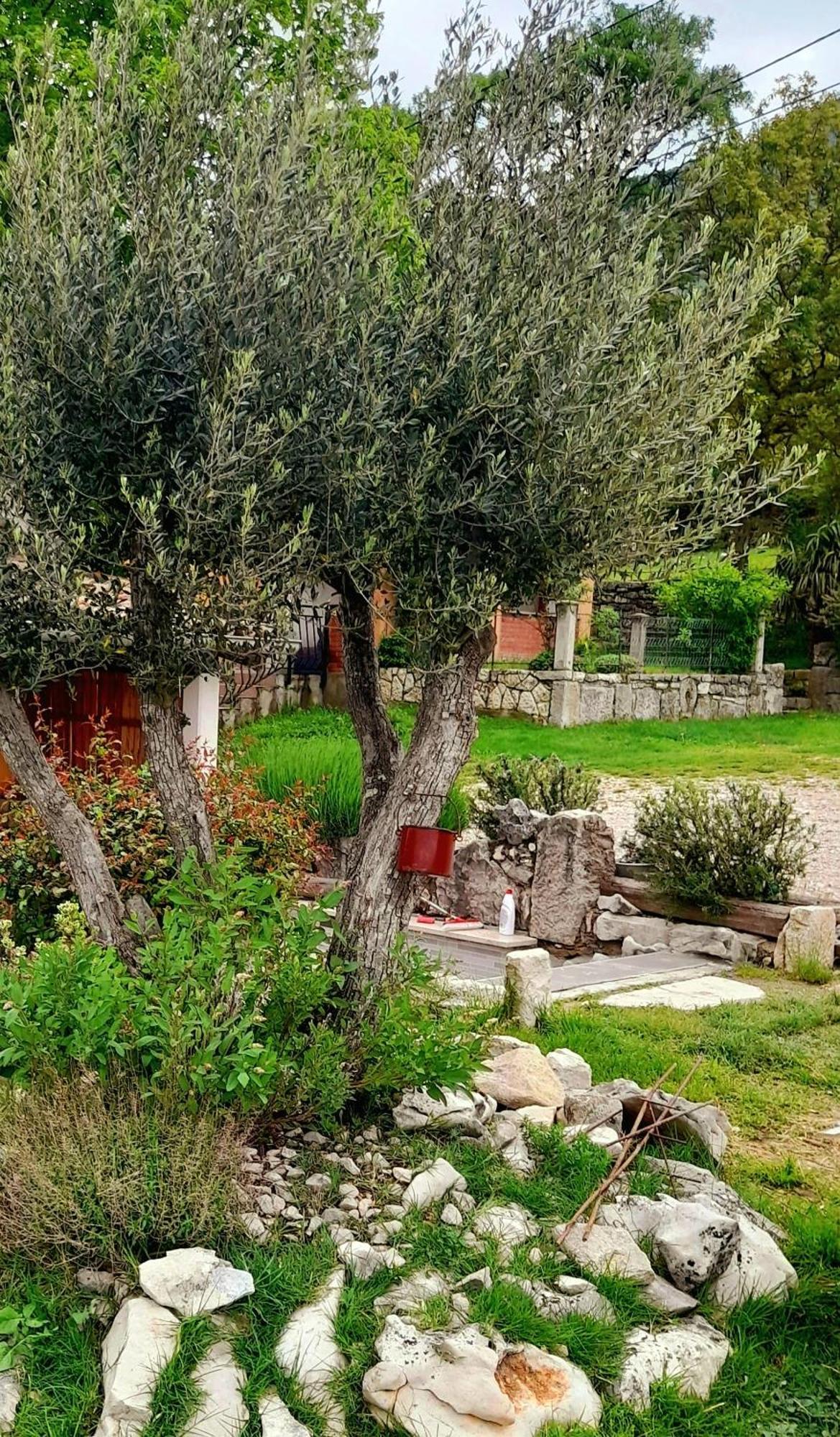 House Lana Apartamento Kršan Exterior foto